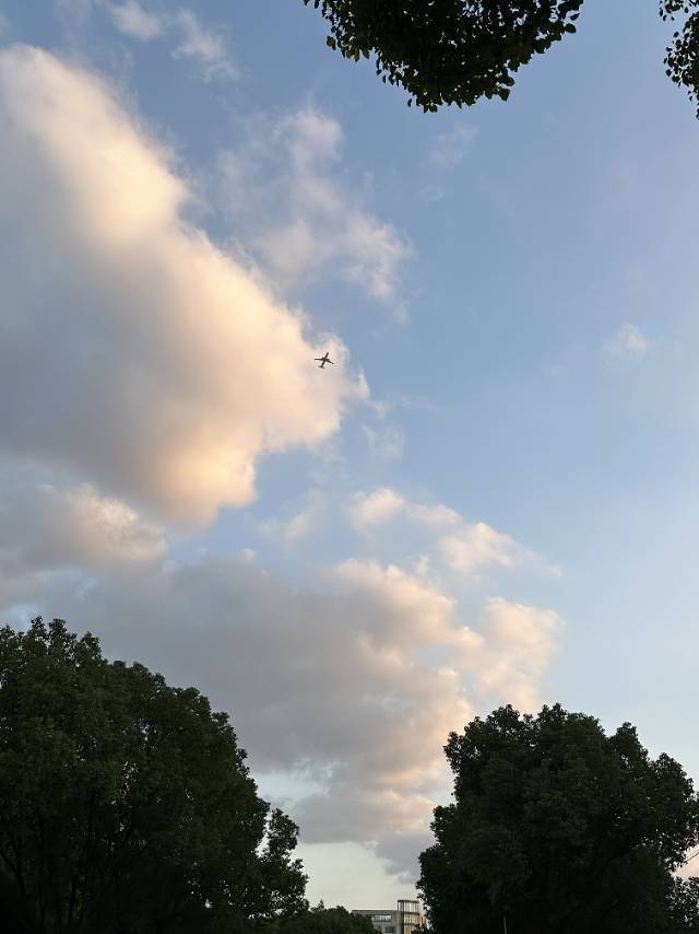       你站住！🏇