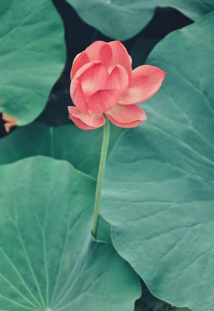 好好好