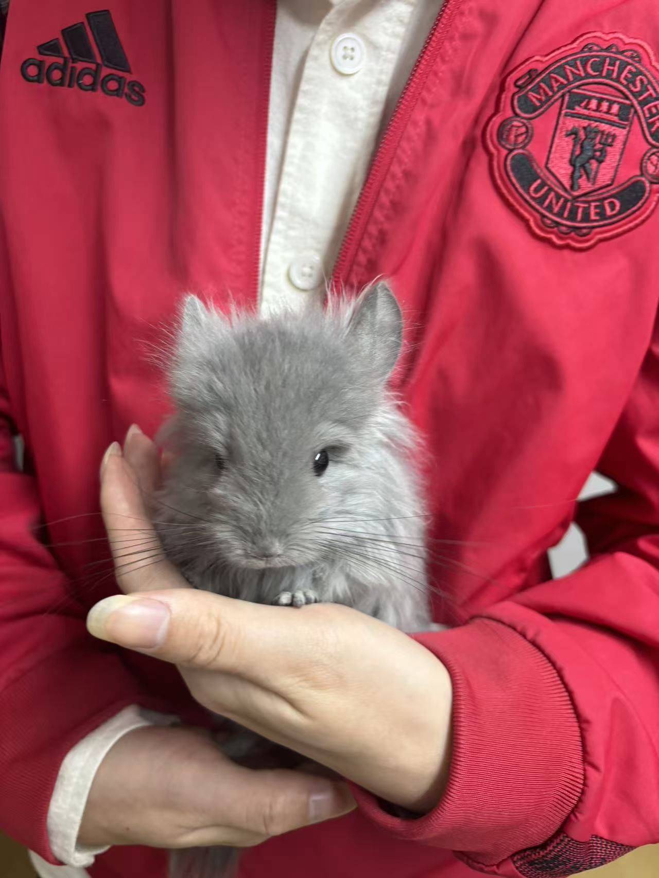 阿飞