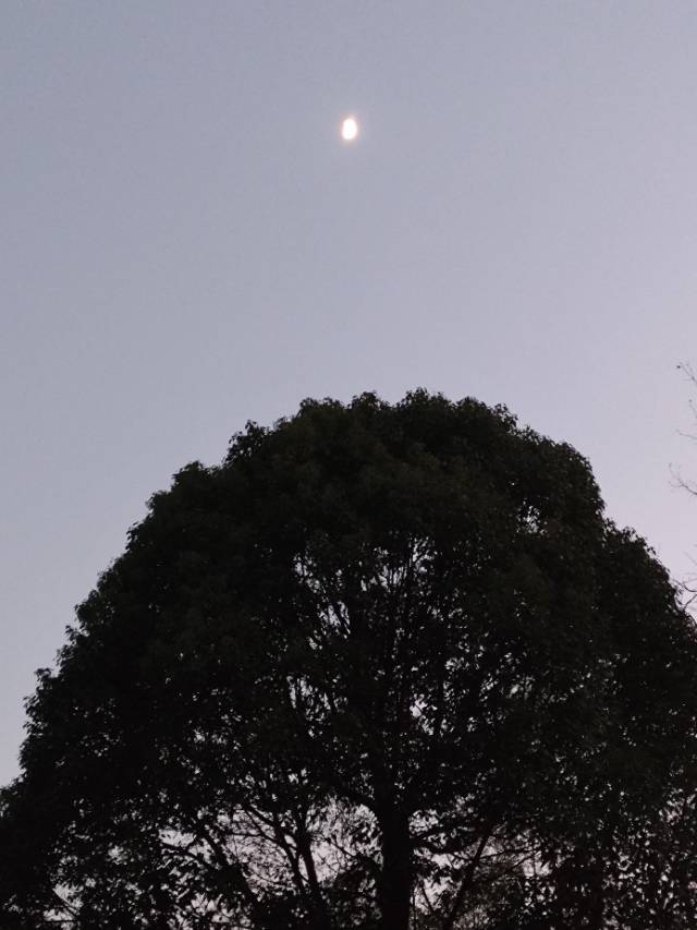 租房子