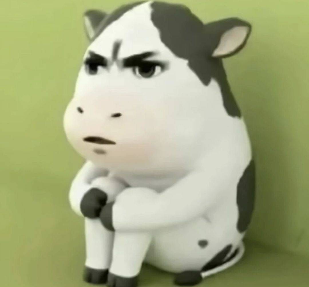 🐮🐮