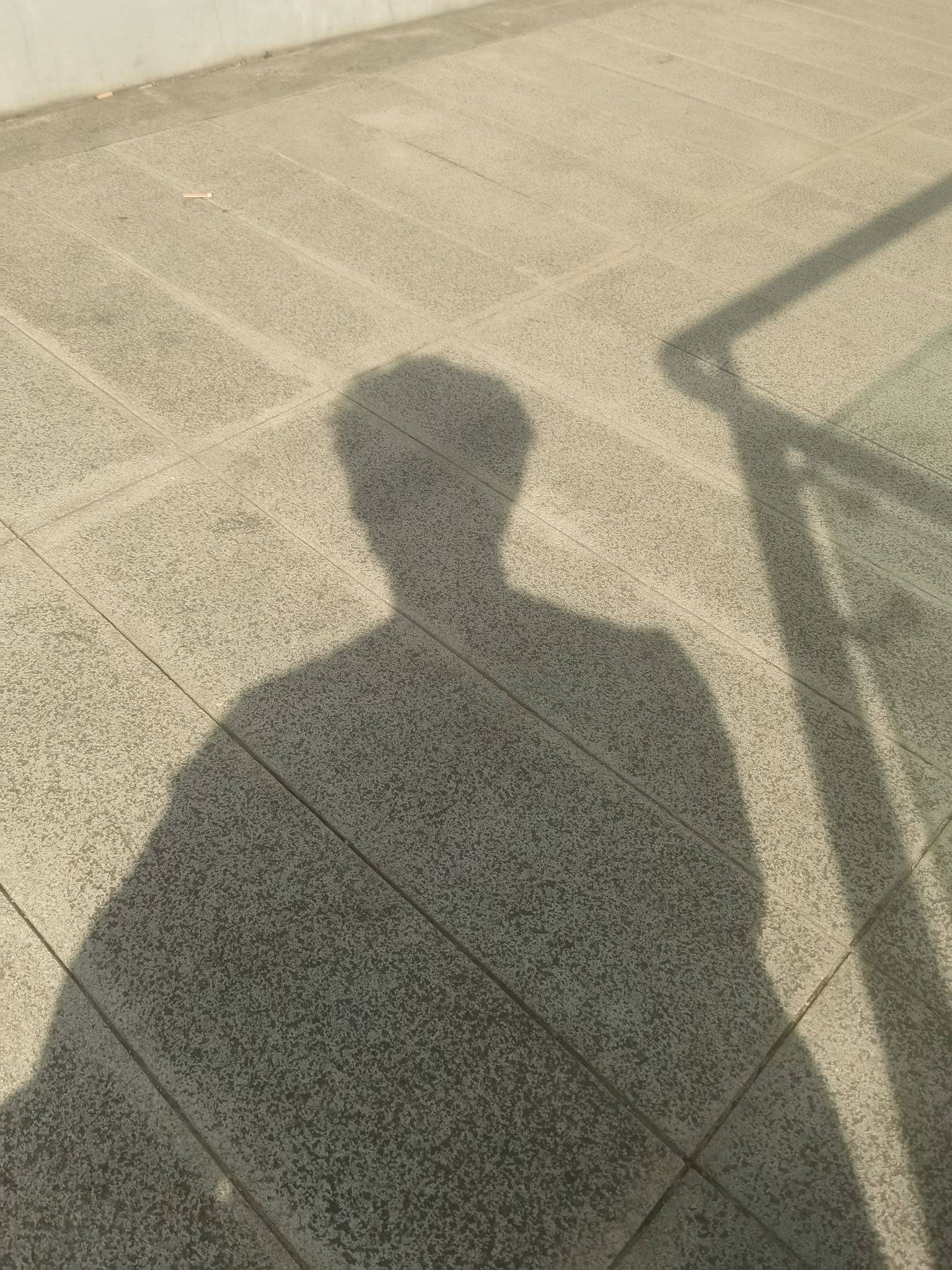 宏
