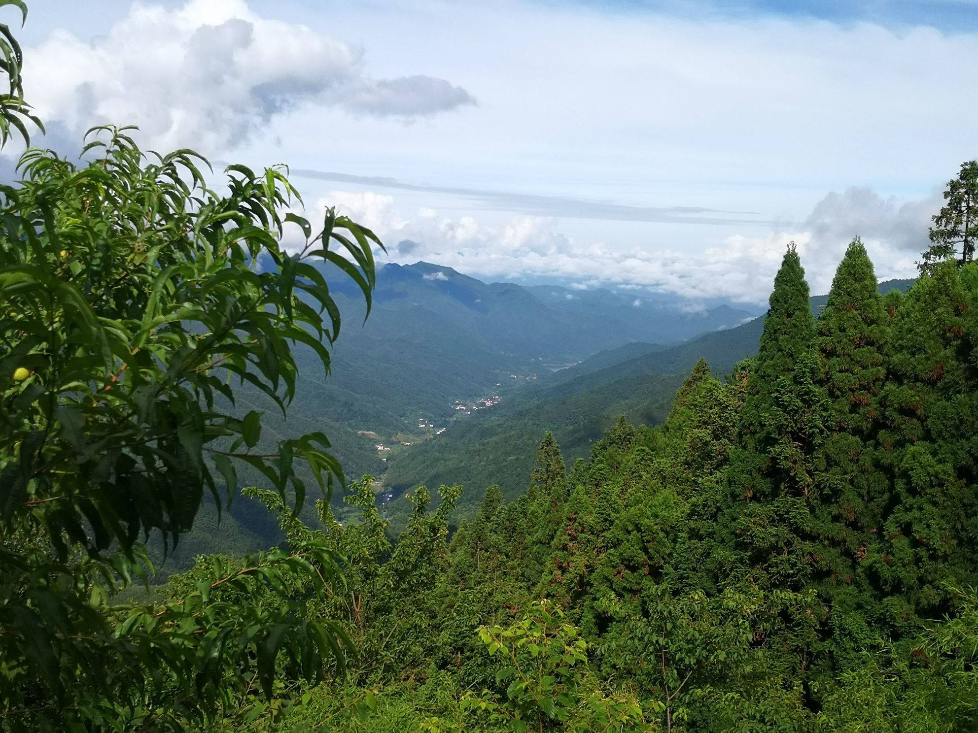 大兵