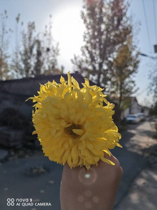 一一