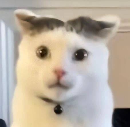 游戏王