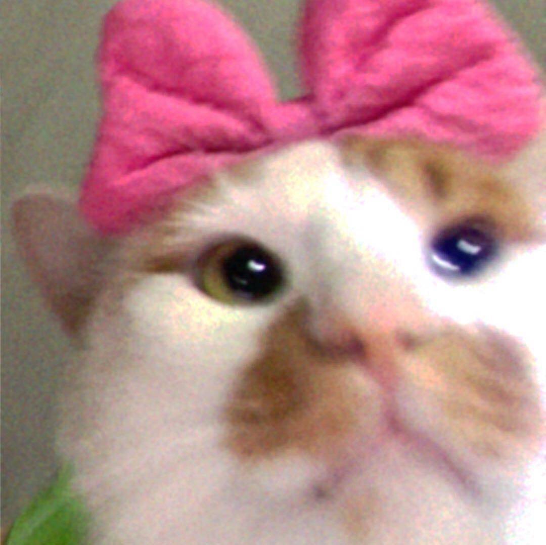 皮皮