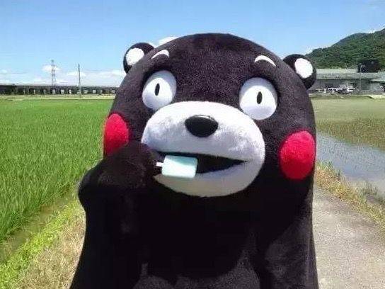 💫华堂燕语💫