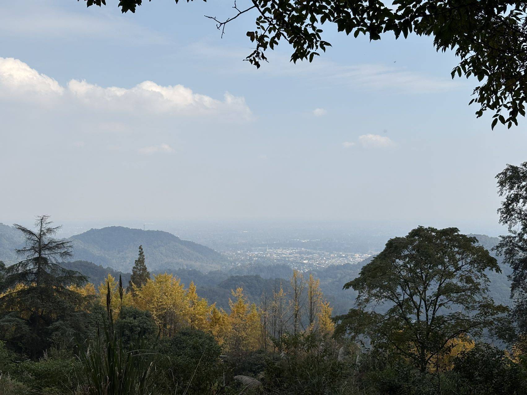 小小
