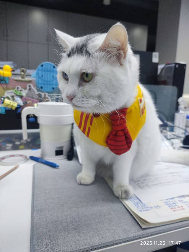 慧慧呀