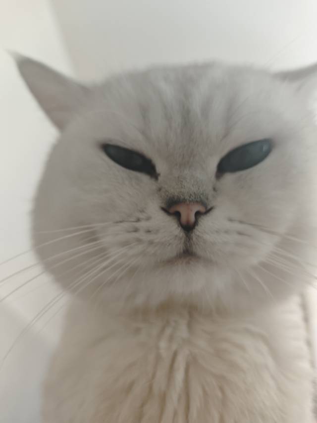 。。