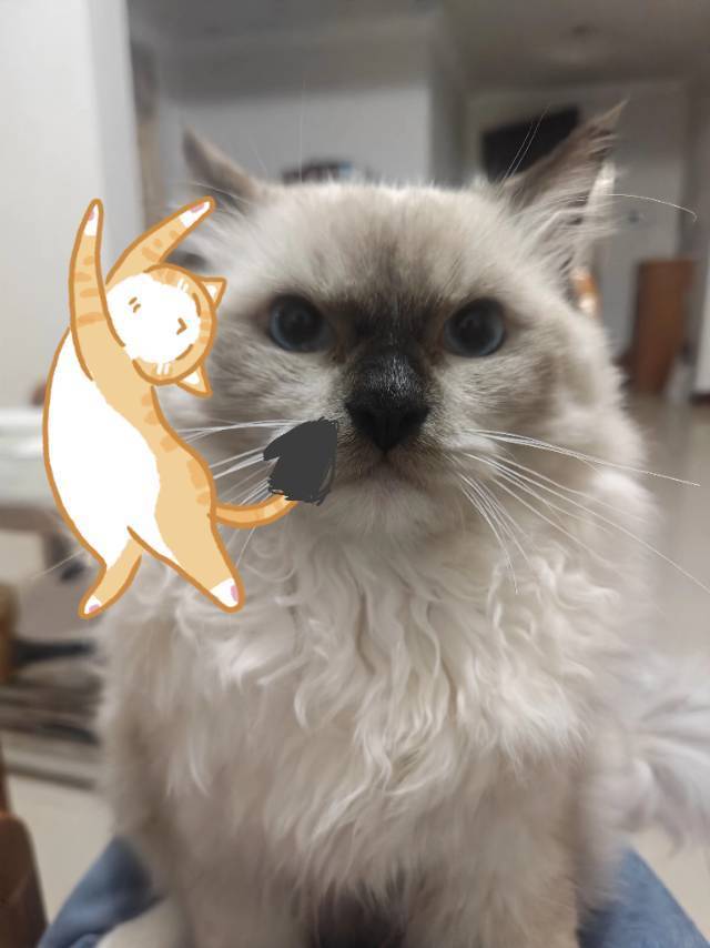 没有销声匿迹，我在热爱生活