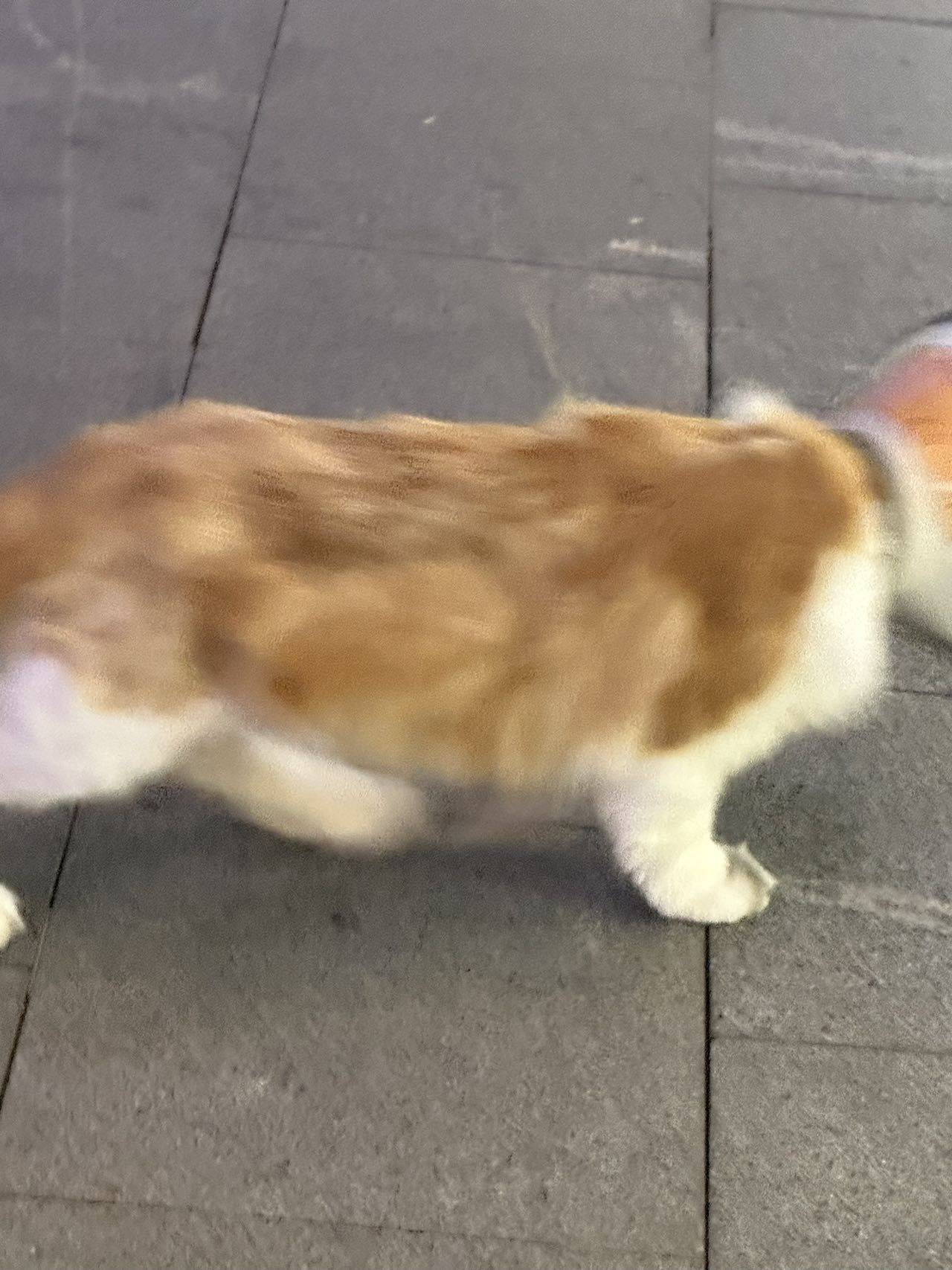 生まれて人の💮ために