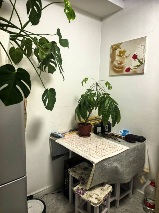 王桥街一室一厅