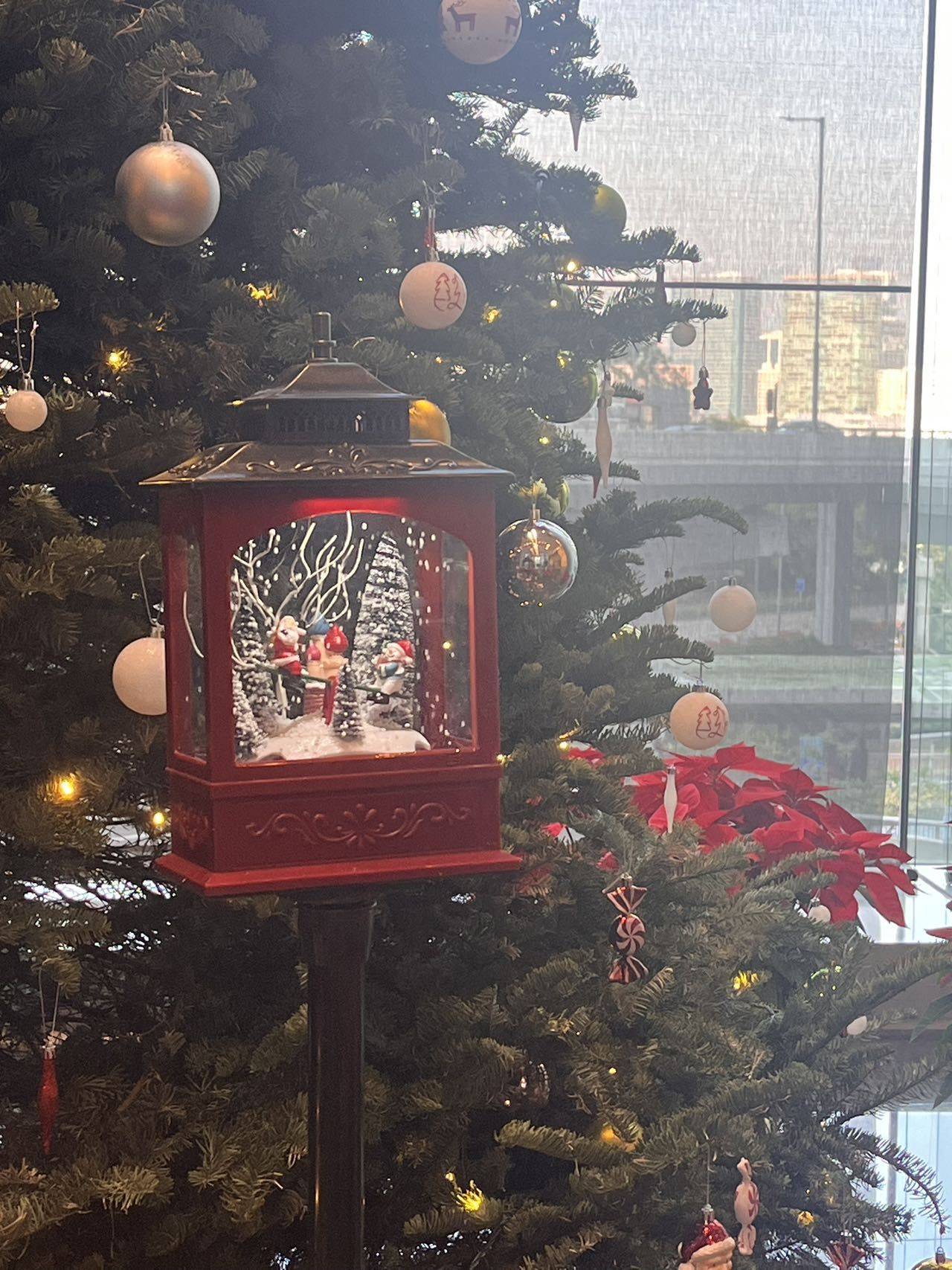 𝑾𝒊𝒍𝒍𝒐𝒘.