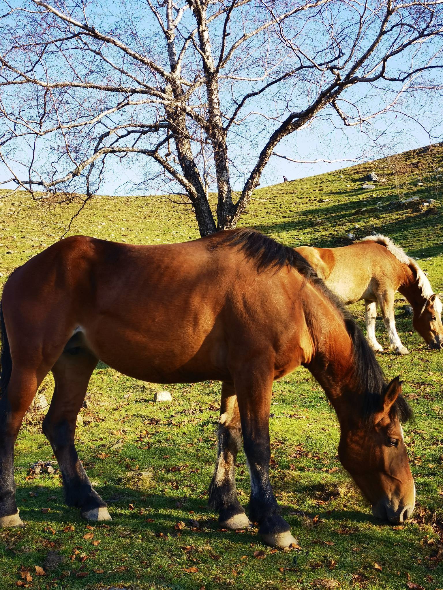 life_photo_3
