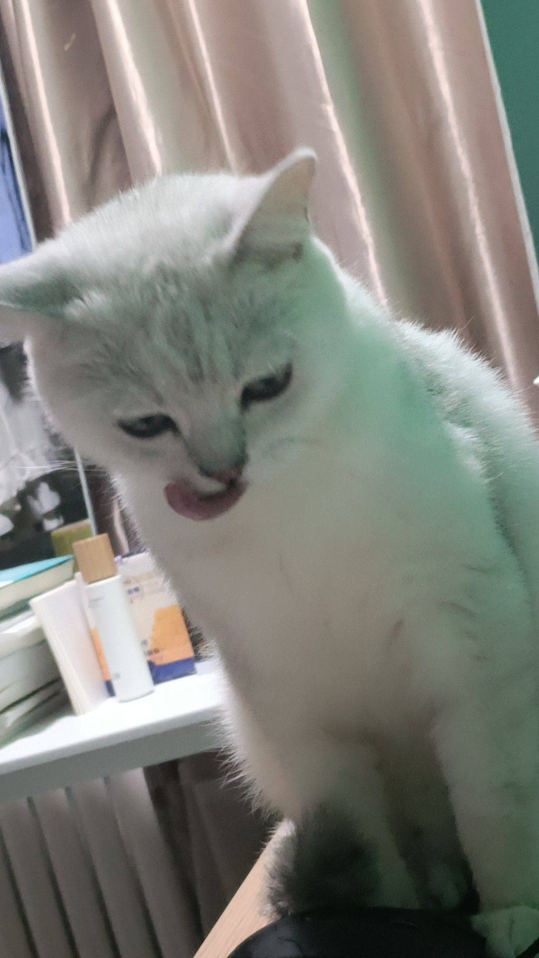 丽丽王后
