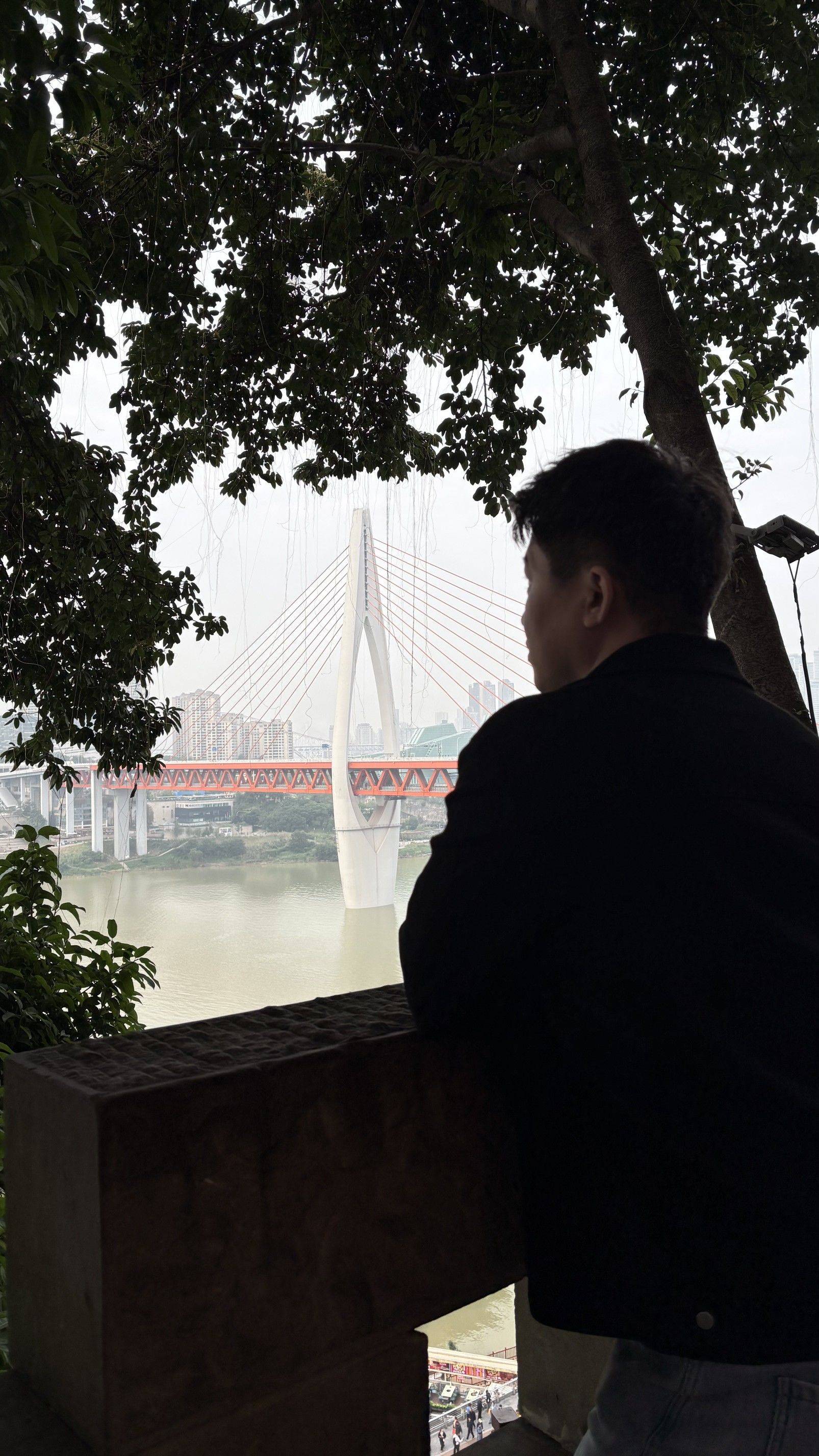 疯子中的战斗机