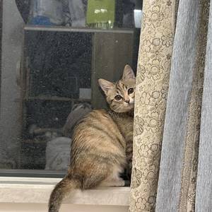 1莹