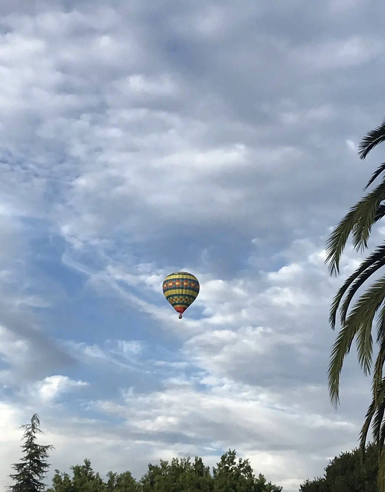 开心快乐每一天