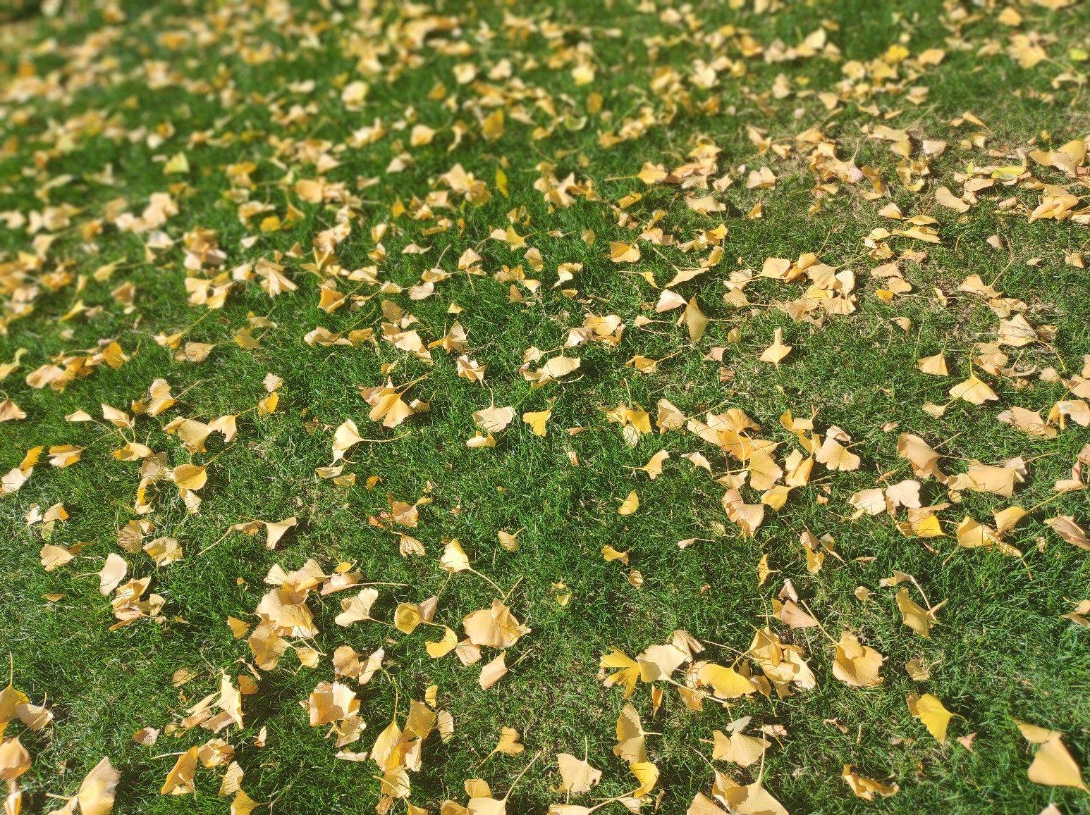 life_photo_1