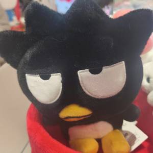 应常铵