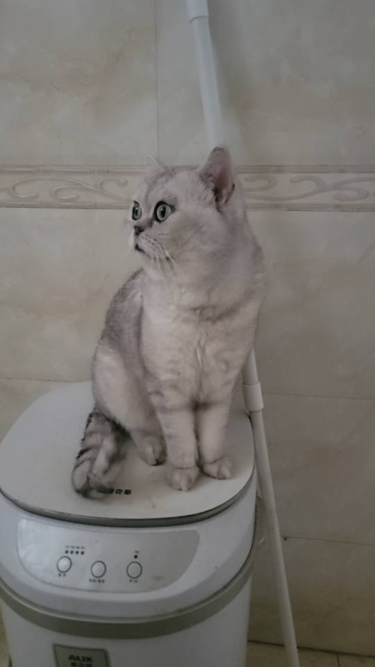 放轻松，就当漫游地球