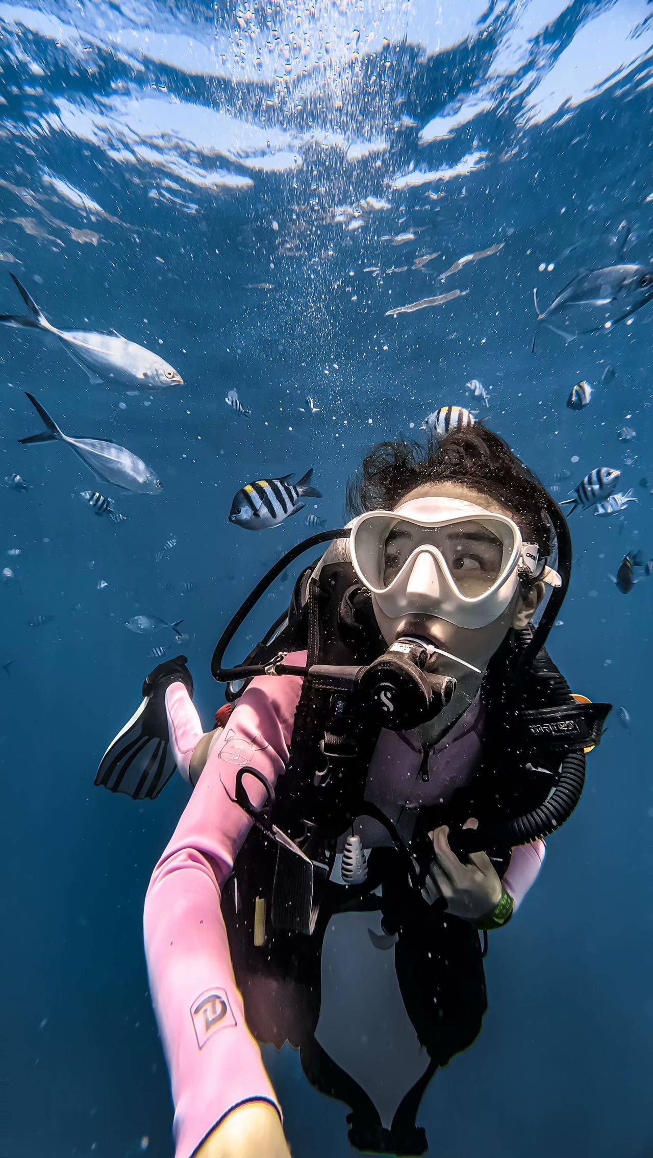 小小房东东东东东～