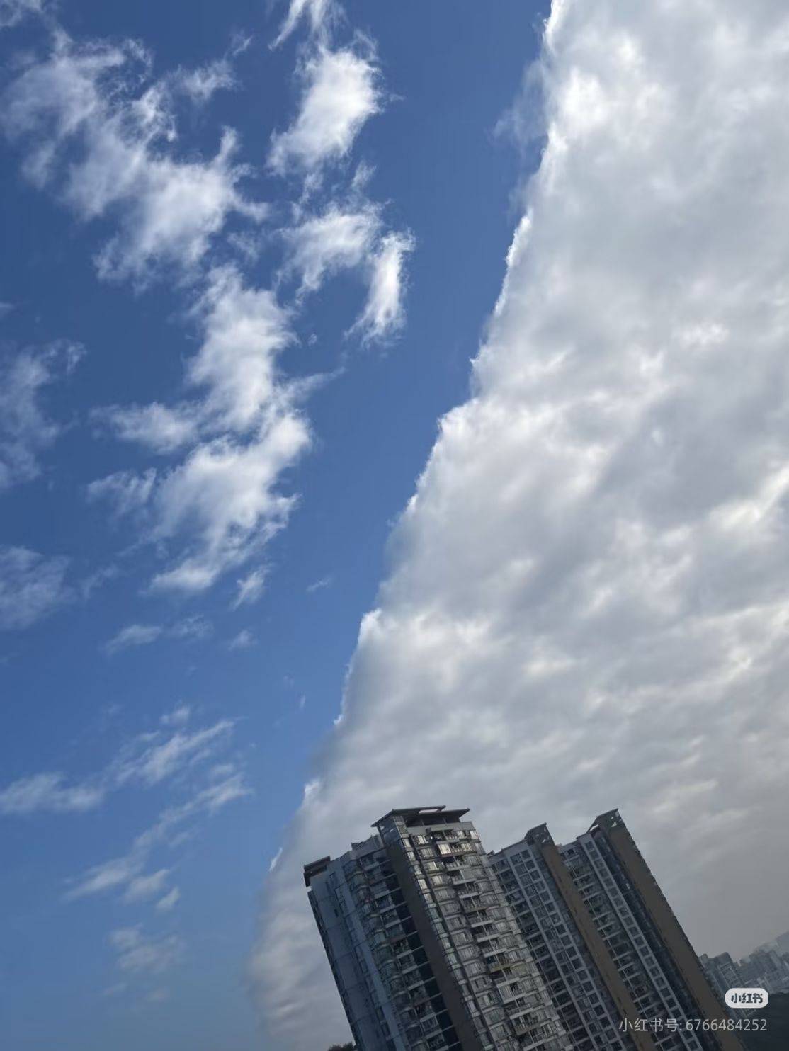 人生就是一场体验，要尽兴