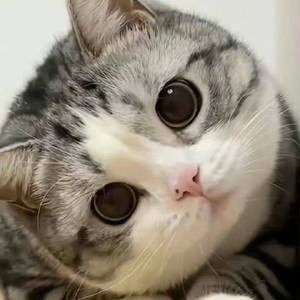 房东