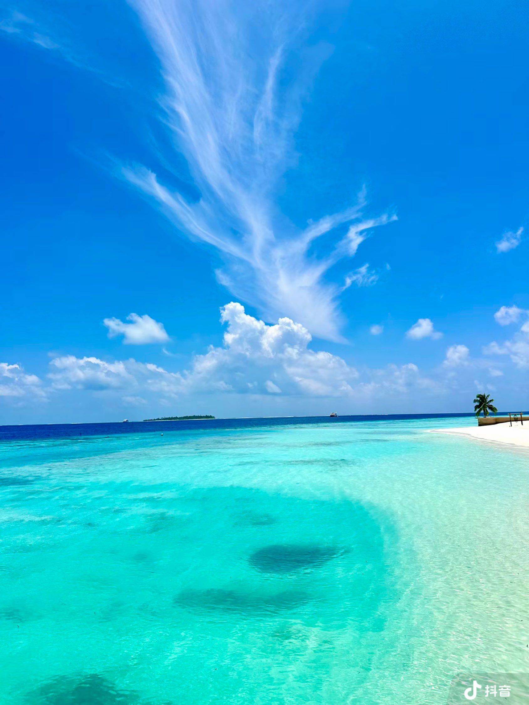 จุ๊บ青青青橙จุ