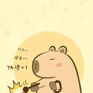 低调且高明的生活着