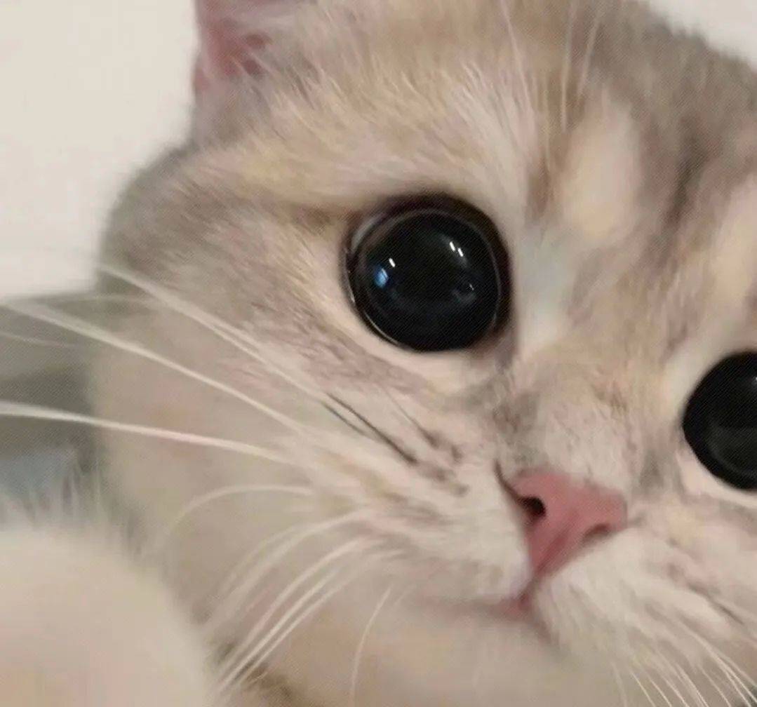 h“14号线鹤边单间