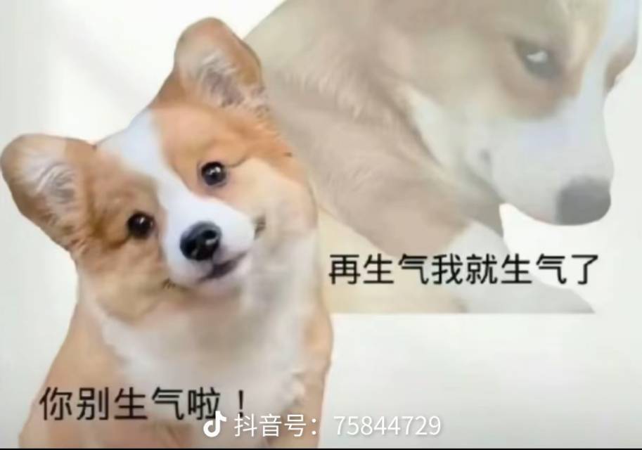 您好
