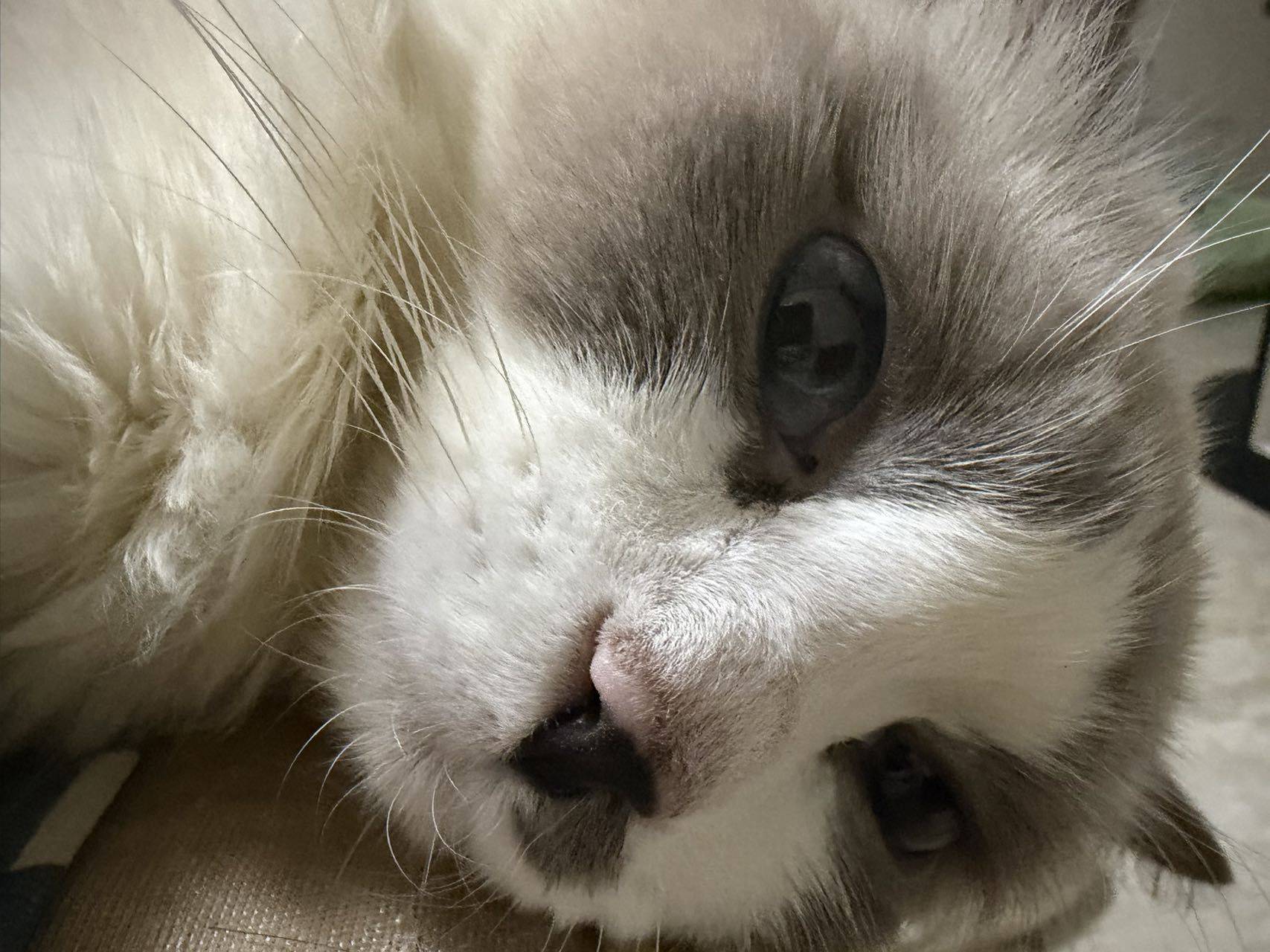 粥某兜不住💩.