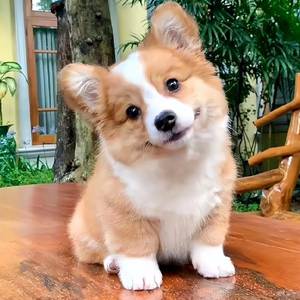 ·月付免押金整租独卫