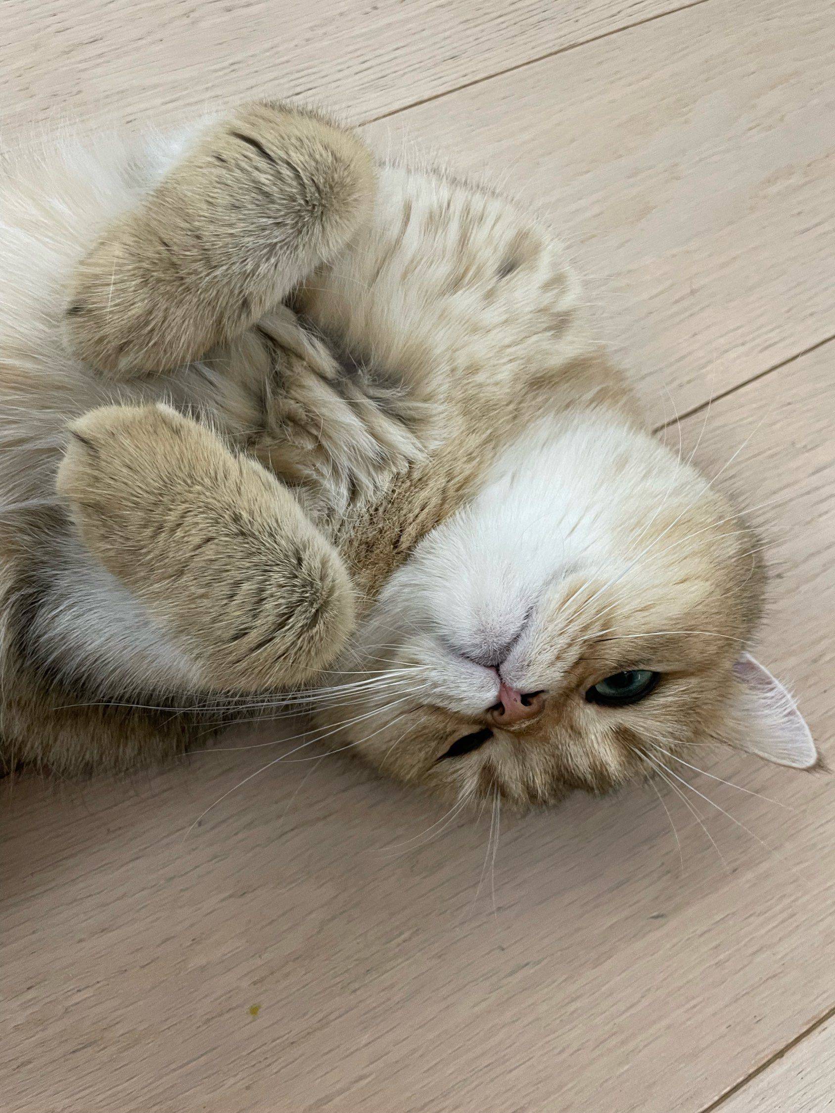 Rita
