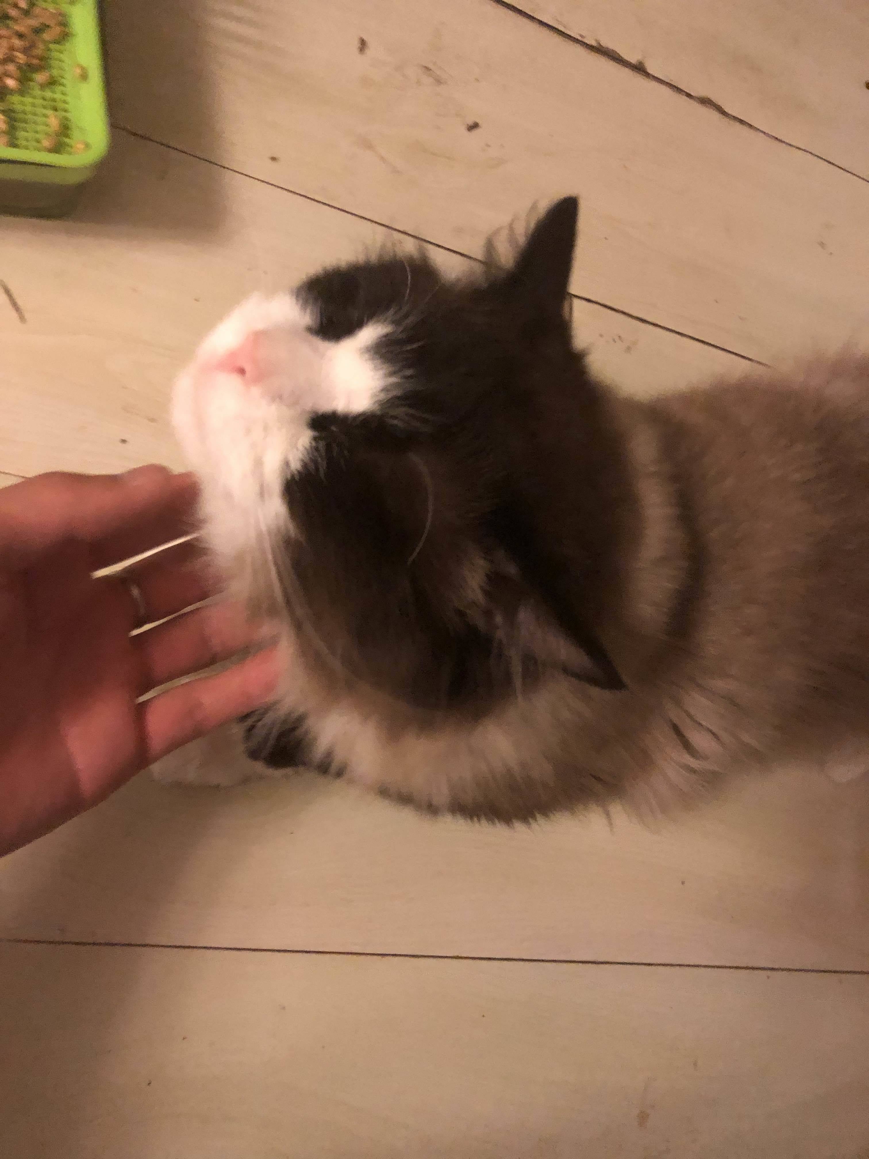 陈桂林
