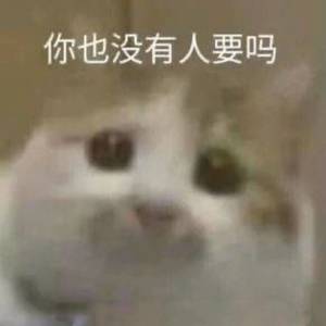 安尼