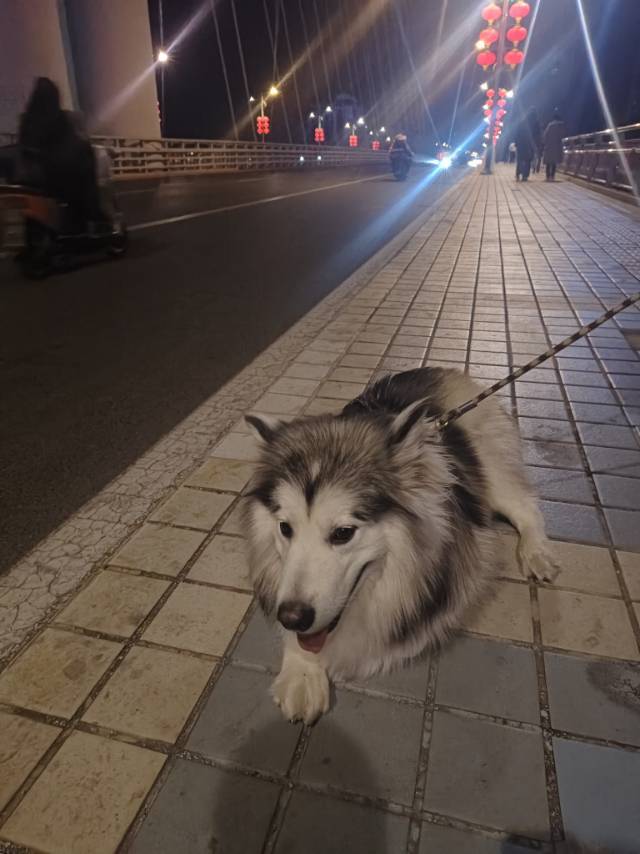 尹乔