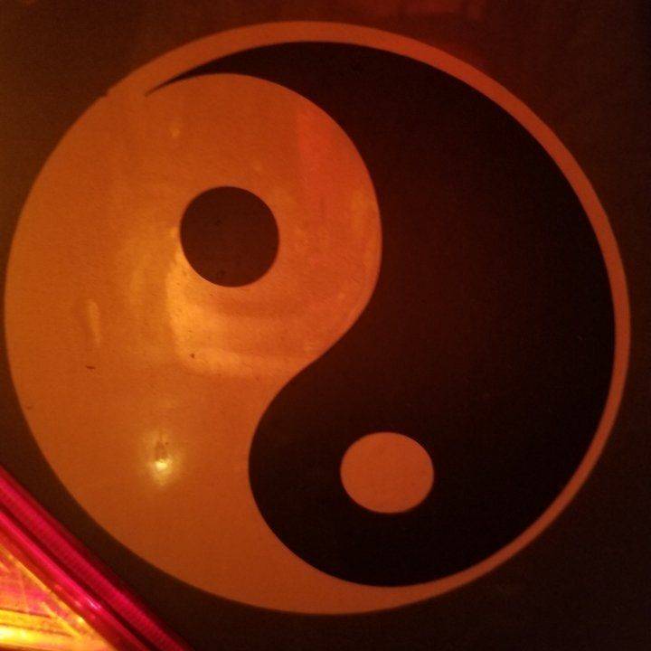☯️与道合真☯️
