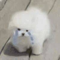 和我没有 关先生