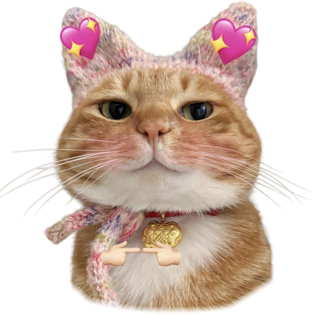 财神爷的嫡长女