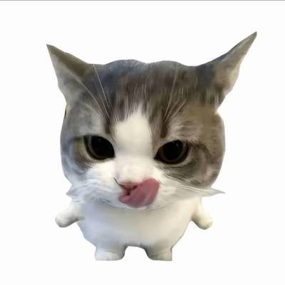 流芳
