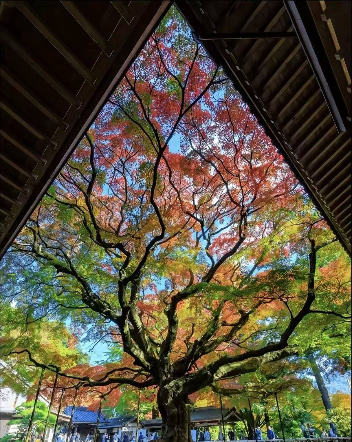 房东