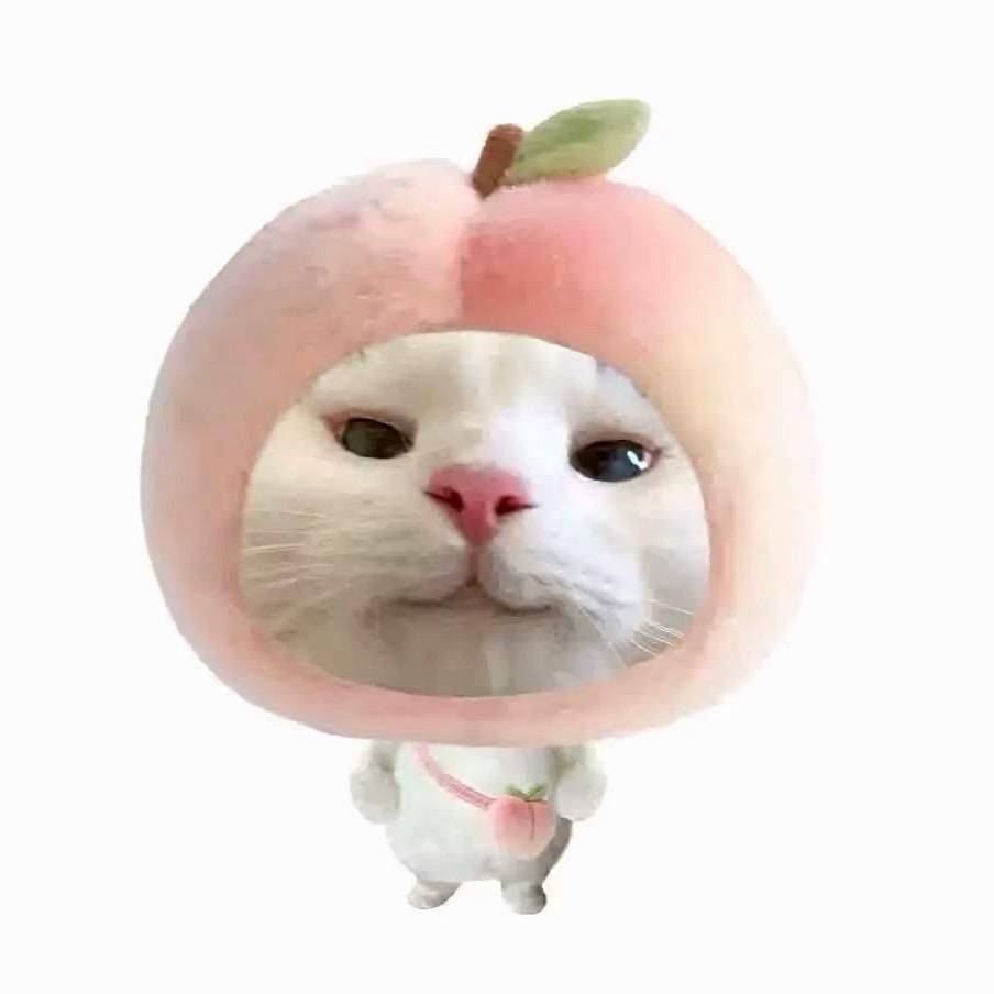 伞