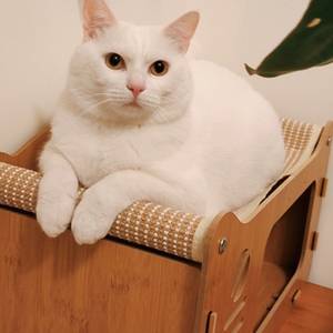 Lulu