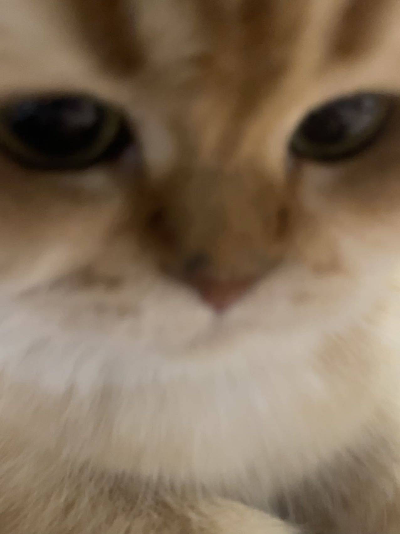 小曹