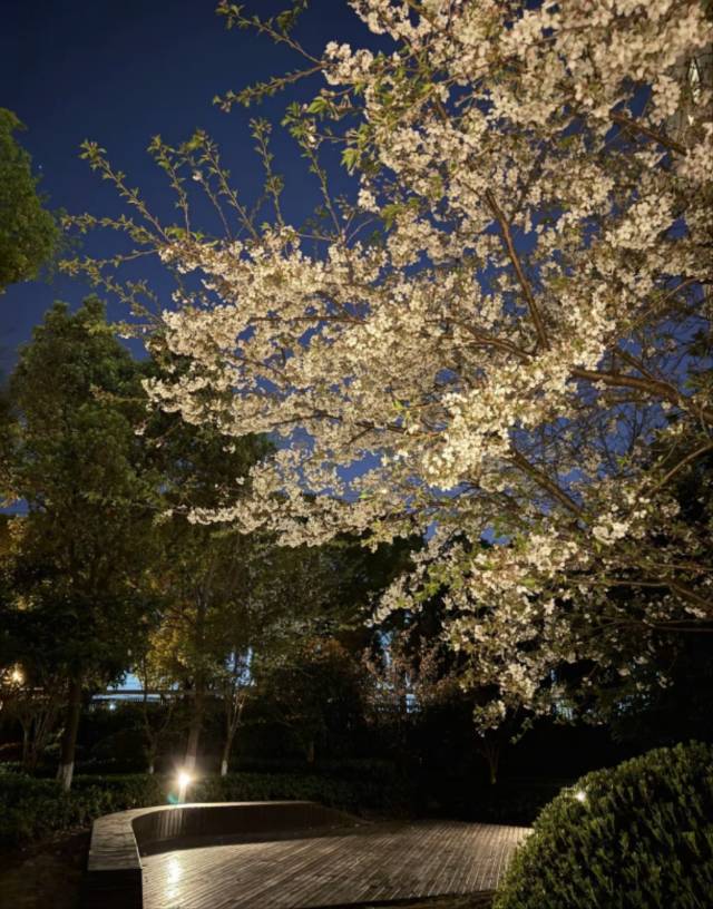 昵称是什么