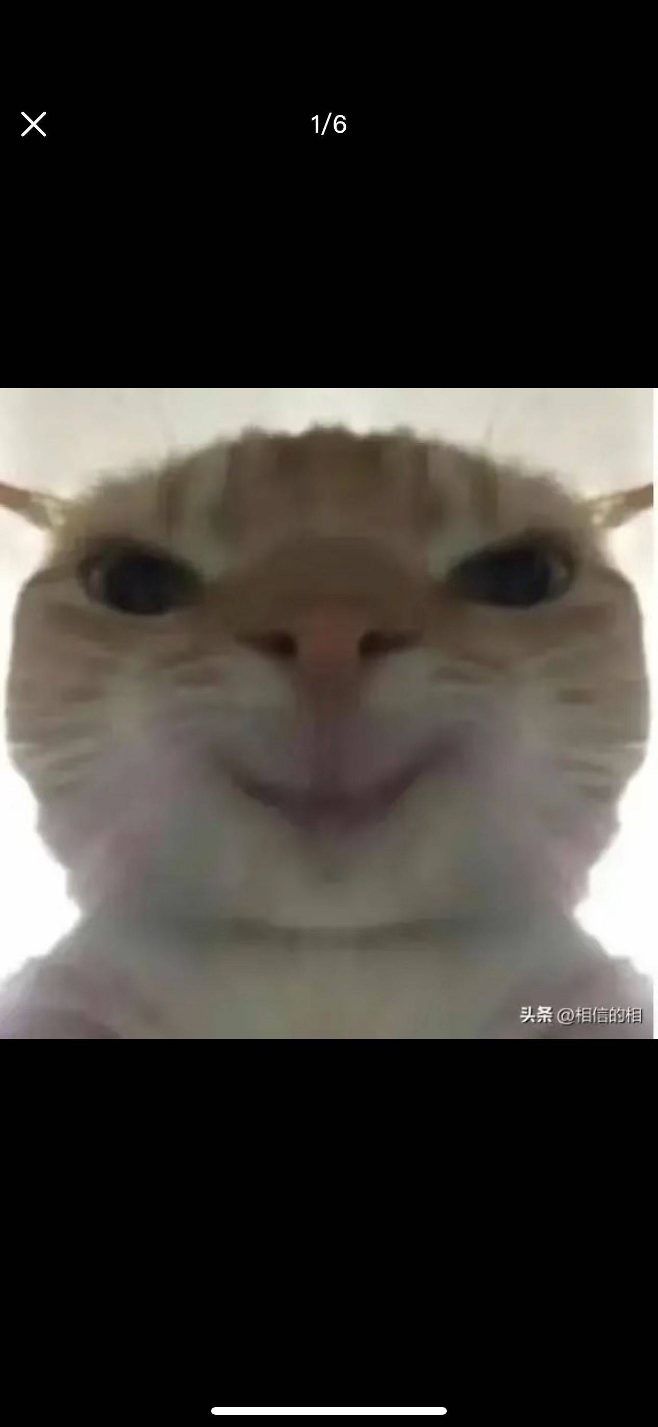 糖葫芦