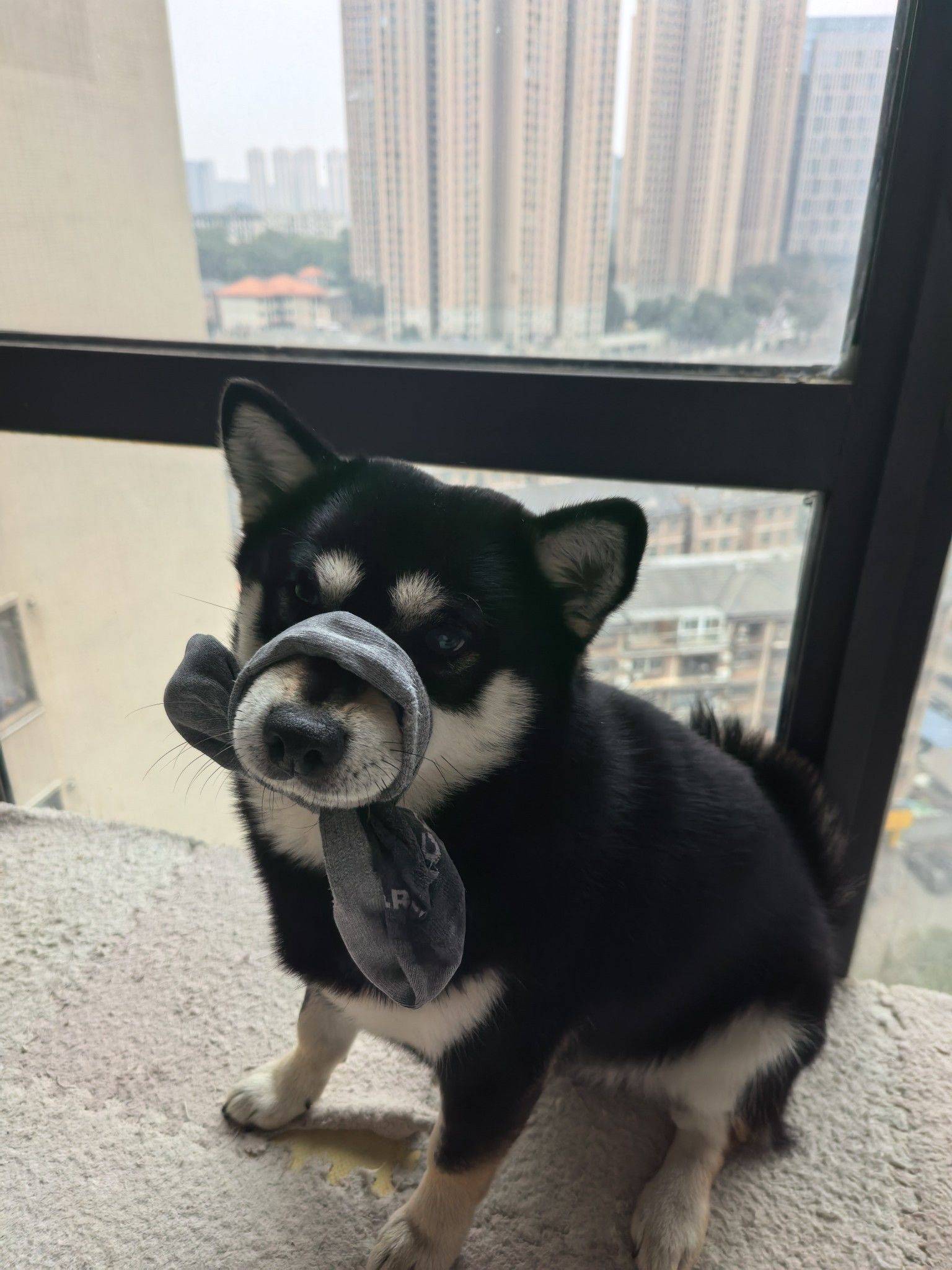 天上